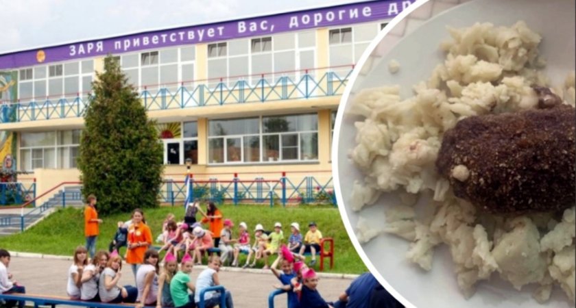Повар со стажем оценила нашумевший обед, которым накормили детей в пензенском лагере
