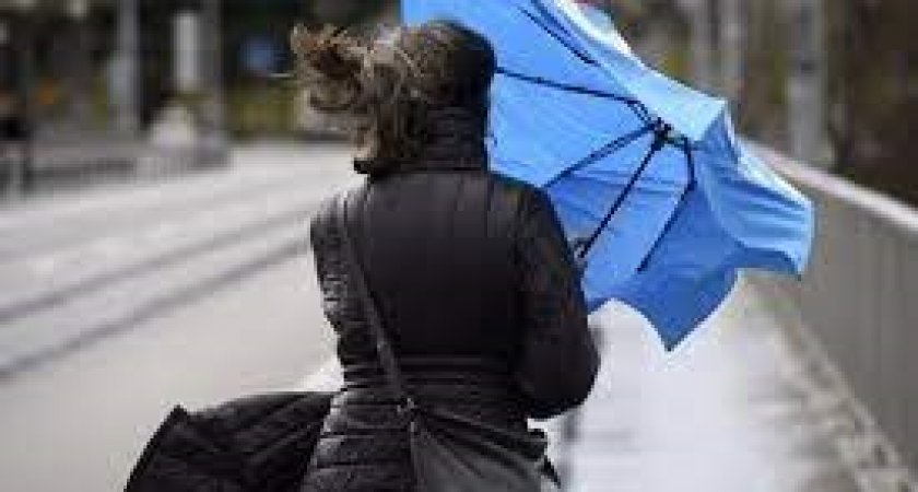 В Пензенской области МЧС 8 июня объявили желтый уровень опасности из-за ветра