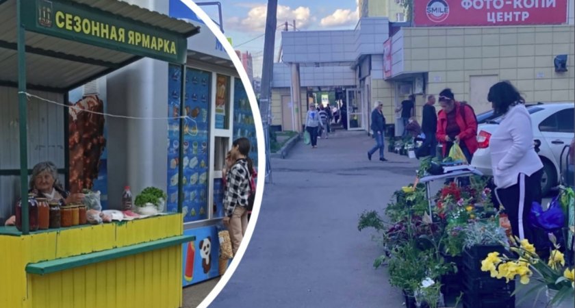 В Пензе начали штрафовать старушек, торгующих укропом? 