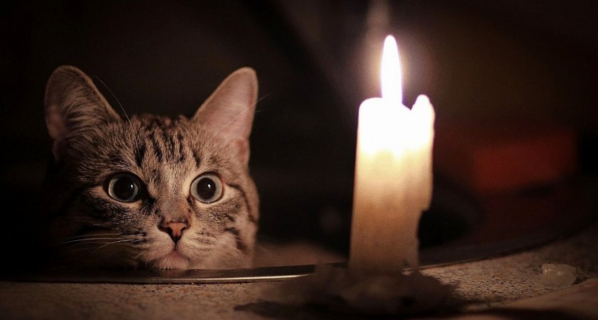 Почти 20 СНТ в Пензенской области 9 июня останутся без света