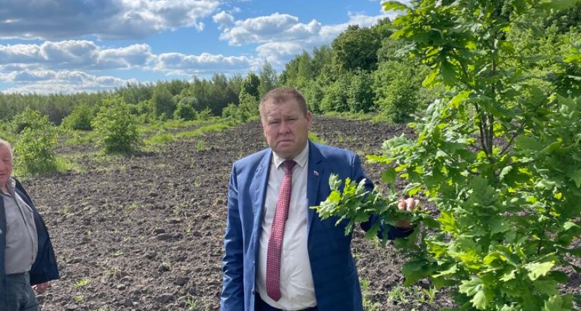 В Пензенской области растет плантация дуба