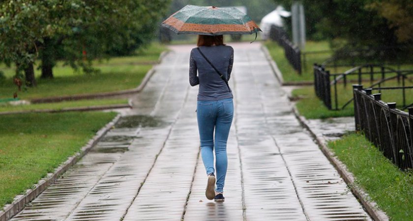 В Пензенской области 11 июня ожидается дождь и +27 градусов