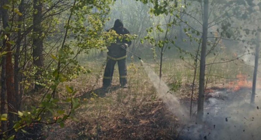 В ГУ МЧС пензенцев предупредили, что неделю будет держаться высокая опасность