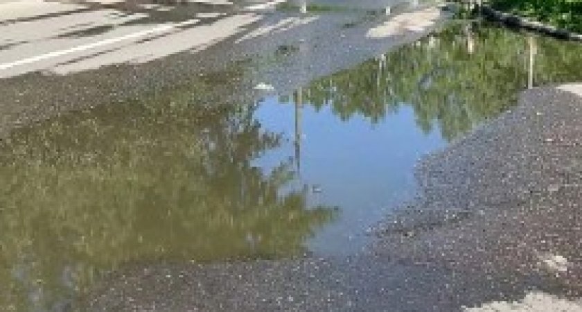В Пензе на Лобачевского из канализации на дорогу течет зловонная жижа