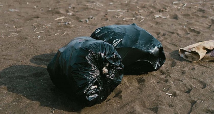 В Пензенской области руководителя МУПа оштрафовали за свалку на 10 тыс. рублей