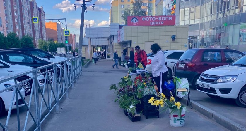 Пензенцев с низкими доходами стало меньше