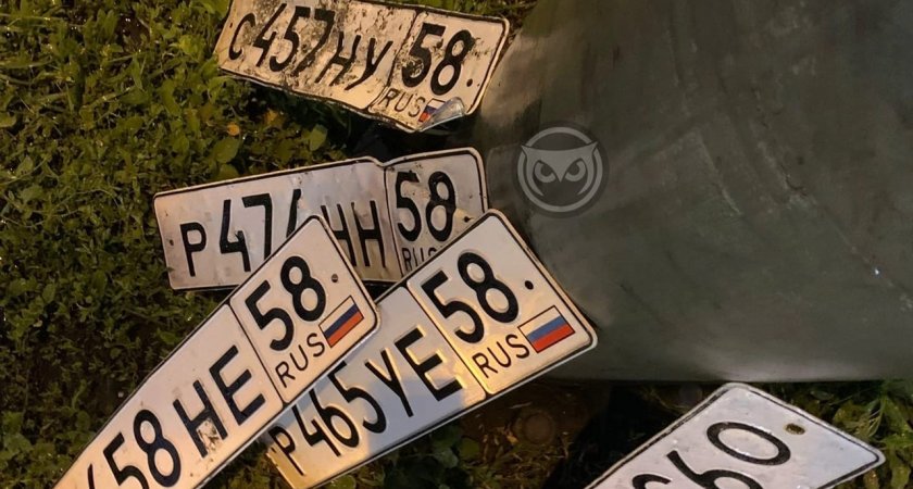 Пензенцы во время ливня потеряли десятки госномеров с авто 