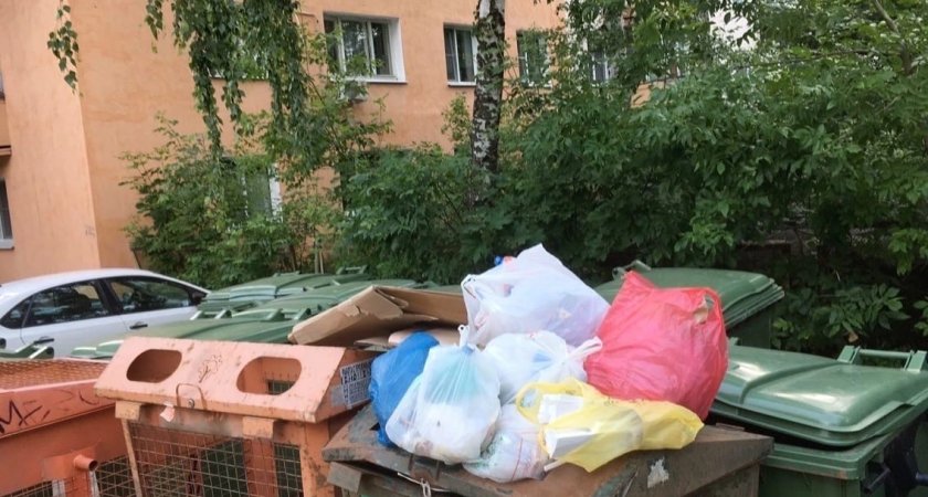 В Пензе мусорные контейнеры установили рядом со школьным пищеблоком