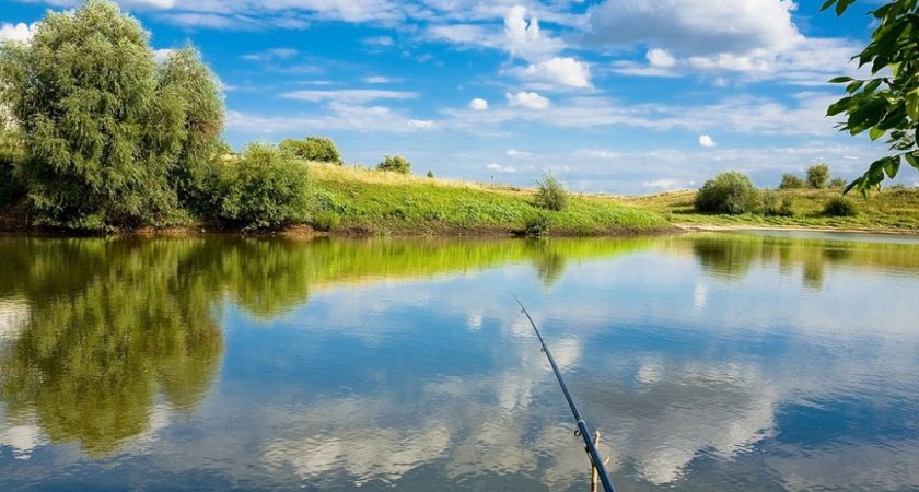 В Шемышейском районе осудили рыбаков, добывших плотву и щуку во время нереста