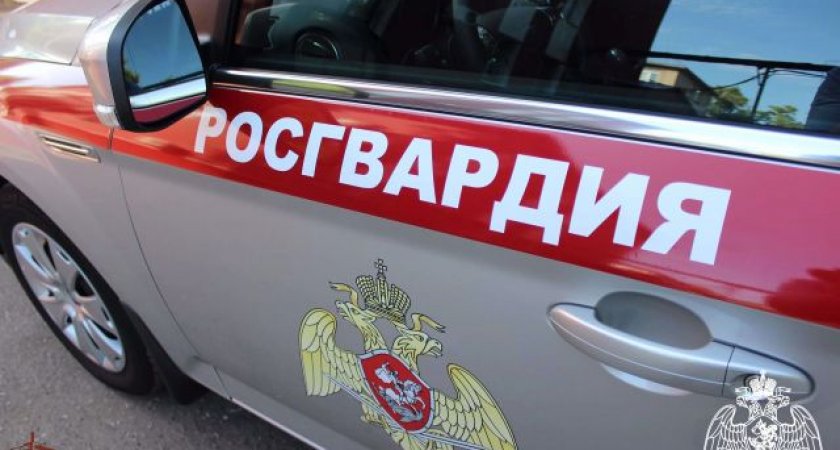 В Пензе задержали женщину, повредившую чужой автомобиль на парковке 