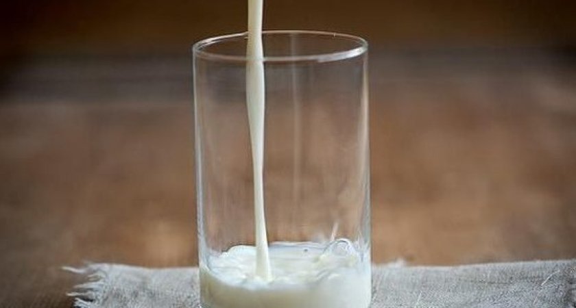 В Пензе завели дело на компанию «Молком» из-за завышенных цен