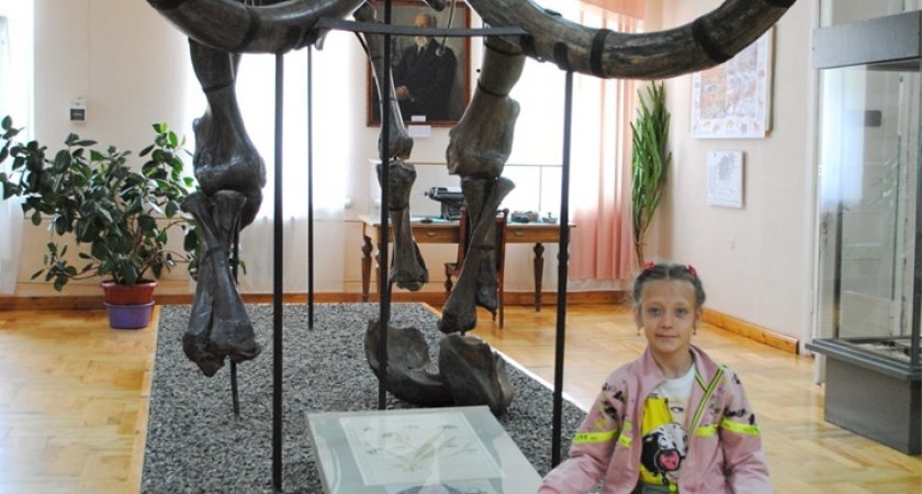 Пензенскому музею подарили зуб мамонта