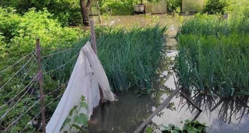 В Пензе на улице Черняховского вода из канализации затопила огород