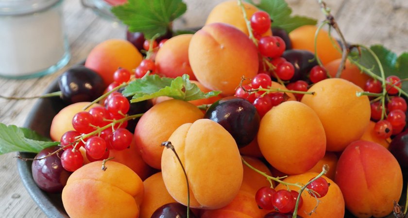 Пензенский Роспотребнадзор рассказал о сезонных продуктах июля