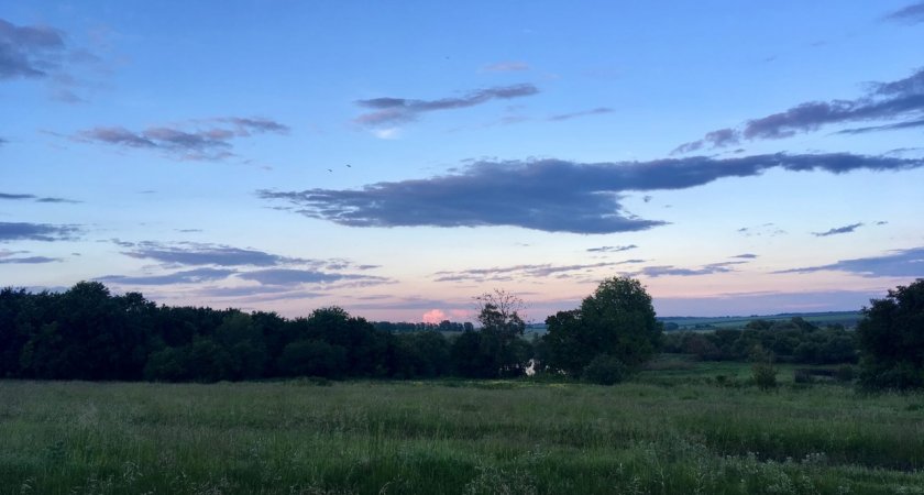 Как выбрать средства от комаров, рассказали в пензенском Роспотребнадзоре