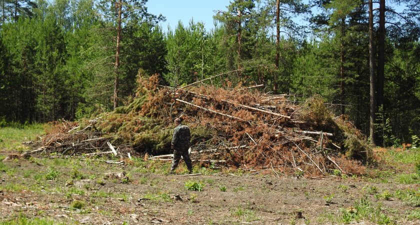В Кузнецком лесничестве нашли девять нарушений законодательства
