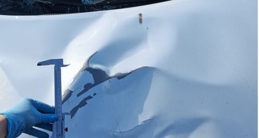 За смерть 15-летней пензячки пьяный водитель отправится в колонию на 8 лет 