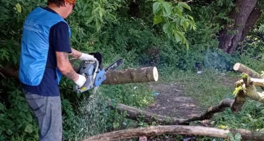 На набережной Суры провели акцию "Чистый берег"