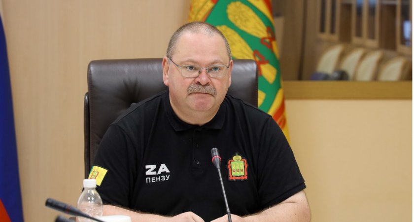 Олег Мельниченко поручил разобраться с самокатами в Пензе