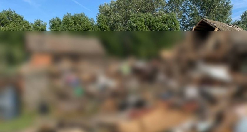 При взрыве газа в селе Пензенской области пострадала женщина 