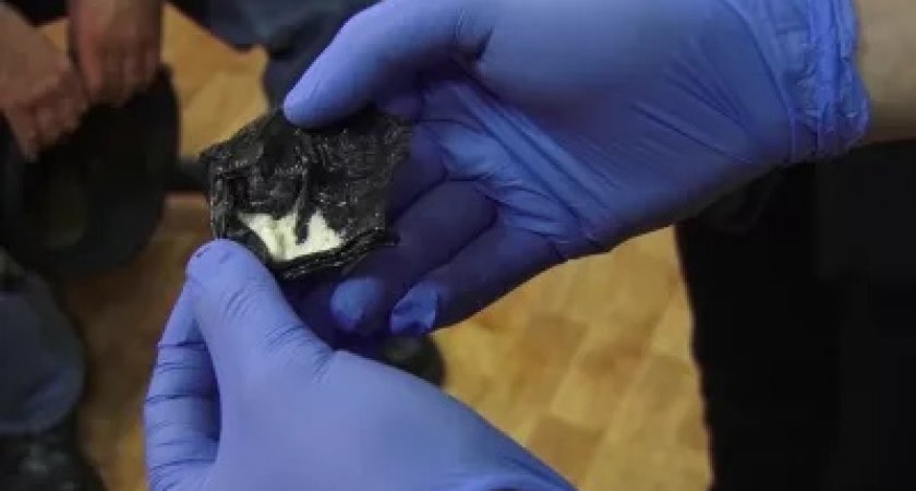 В Пензенской области молодых курьеров-закладчиков приговорили к большим срокам