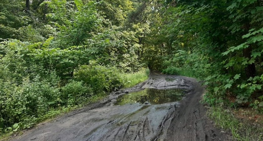 Пензячка пожаловалась Мельниченко на дорогу к детскому лагерю «Чайка»