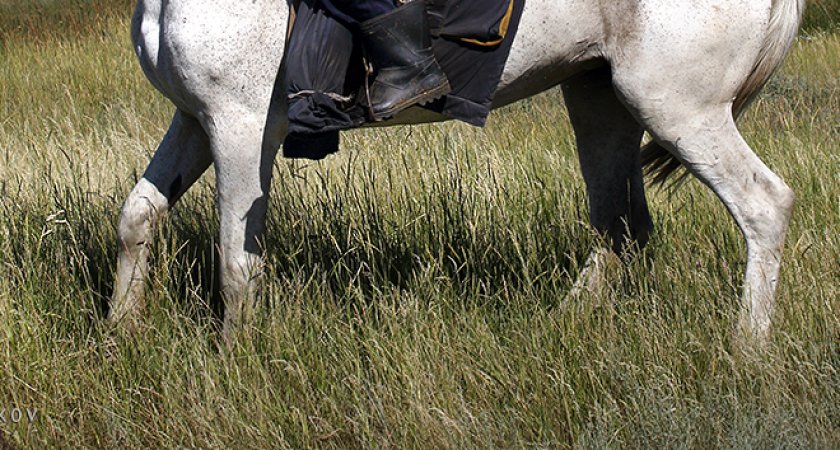 Стали известны обстоятельства смерти пастуха от удара молнии в Пензенской области