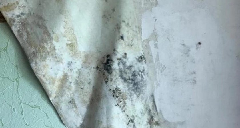 Жительница Пензы жалуется на протекающую крышу и бездействие МинЖКХ