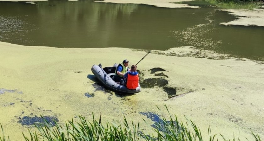 На роднике «Самоварник» убрали мусор 