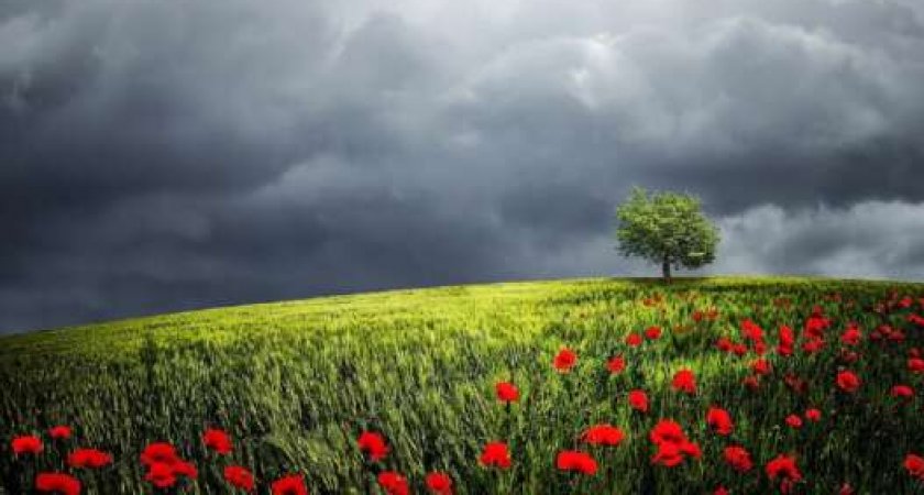 В Пензенской области 21 июля ожидается +10°C