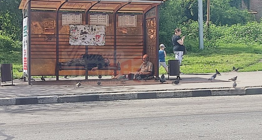 Пензенцы снова пожаловались на бомжей, которые оккупировали автобусную остановку 