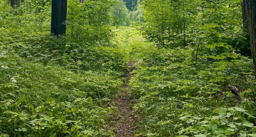 Пензенцы попросили губернатора обустроить дорогу к агропромышленному колледжу