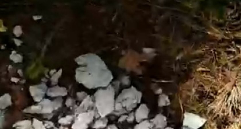 Жители Ахун возмущены свалкой в лесу нового эко-поселка