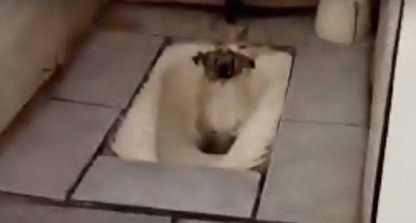 Школу в селе Норовка отремонтируют за 58 миллионов рублей 