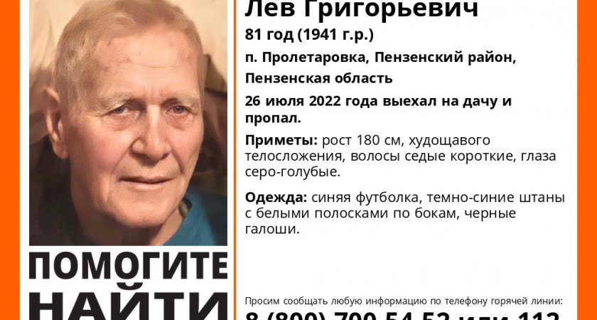 В Пензенской области разыскивают 81-летнего мужчину