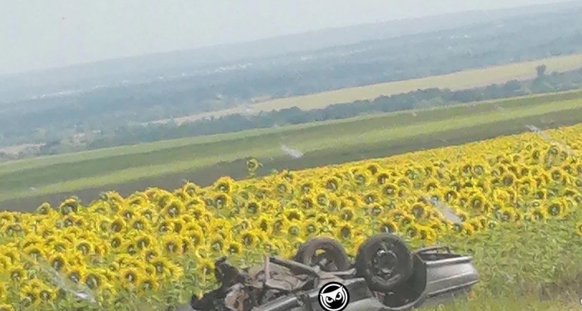 На трассе из Пензы в Шемышейку произошло ДТП с тремя погибшими