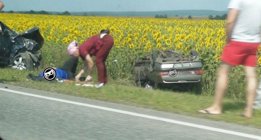 Появилось видео с места ДТП с погибшими на дороге из Пензы в Шемышейку