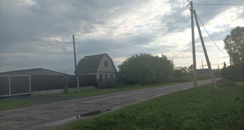 В пензенском селе передавили кур, собак и кошек