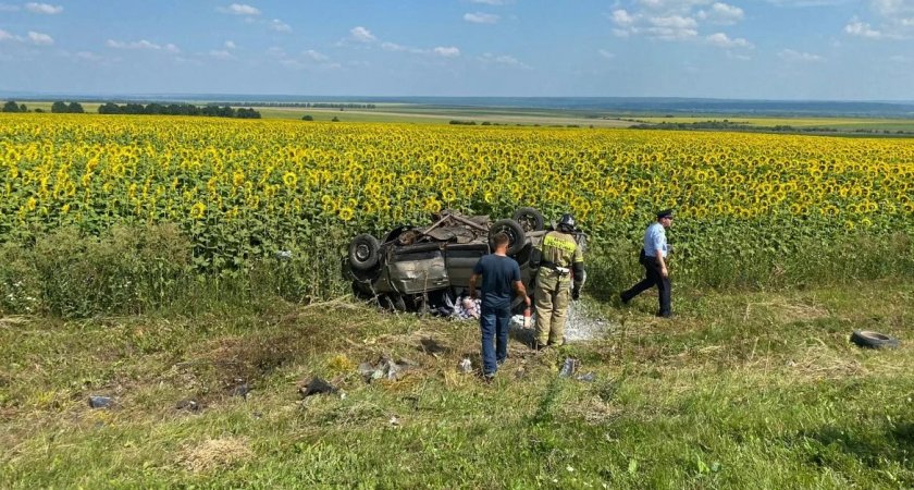 В Пензенской области полицейские выясняют обстоятельства ДТП с тремя погибшими