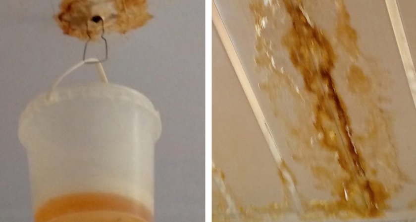 Вместо люстры на потолке в квартире пензячки вынуждено висеть ведро