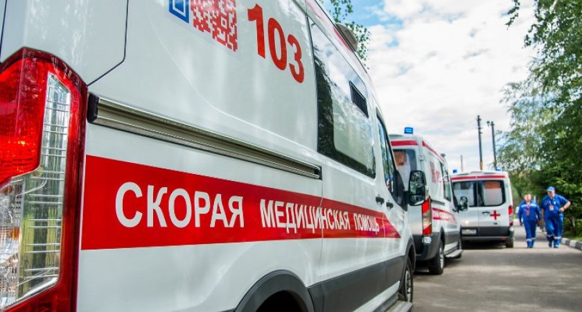 В Пензенской области водителя Volkswagen после ДТП с лосем госпитализировали