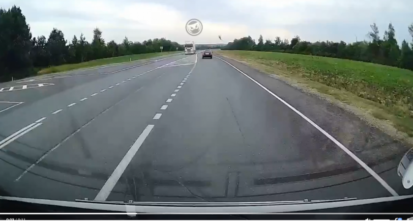 На трассе под Пензой водитель сбил косулю