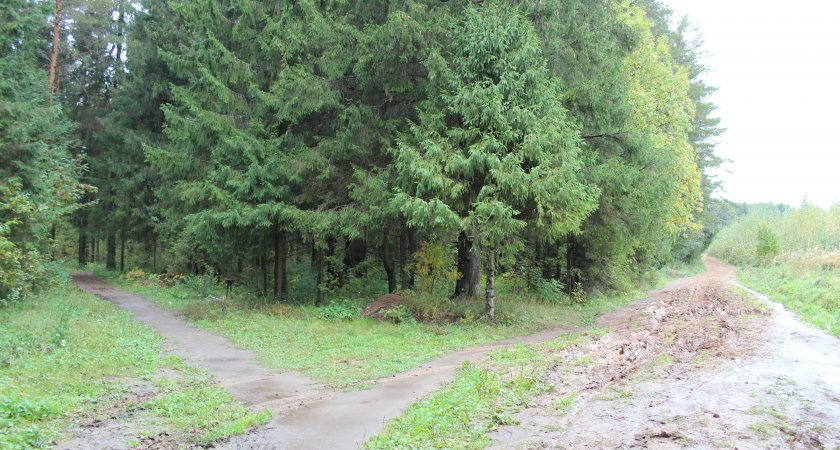 До конца неделе в Пензенской области сохранится чрезвычайная пожароопасность