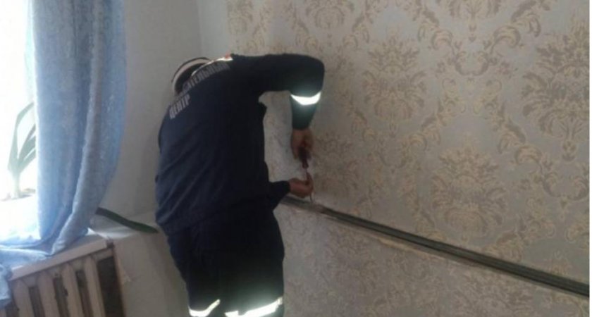 Пензенские спасатели вытащили провалившегося в стену котенка 