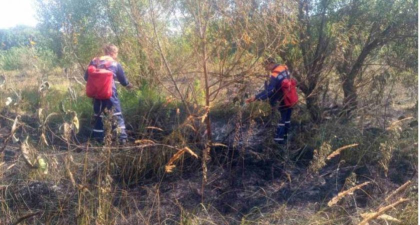 Пензенские спасатели на Ладожской за железной дорогой потушили горящую траву