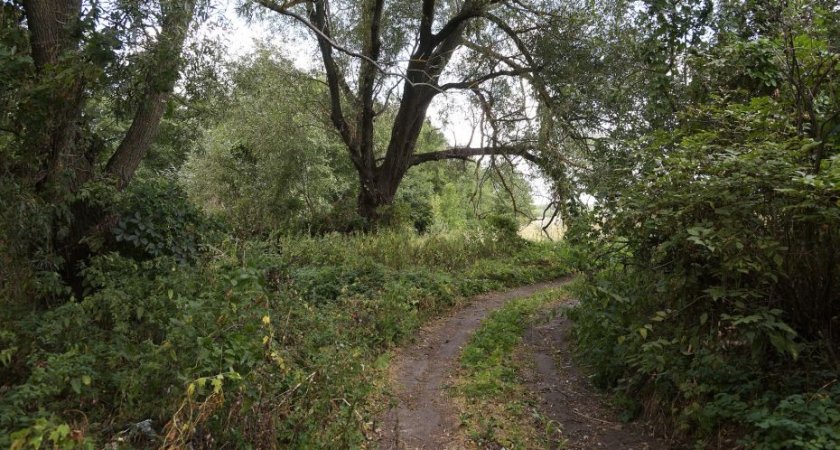 В Пензенской области нашли 35-летнего мужчину