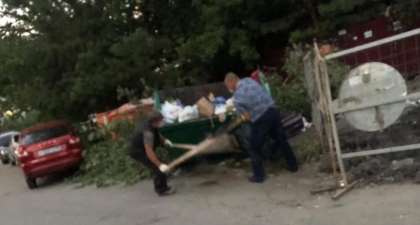 В Пензе в мусорный контейнер на Ладожской выбросили мертвое животное