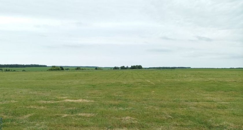 Почти 12 тысяч га зарошенных земел Пензенской области введут в севооборот 