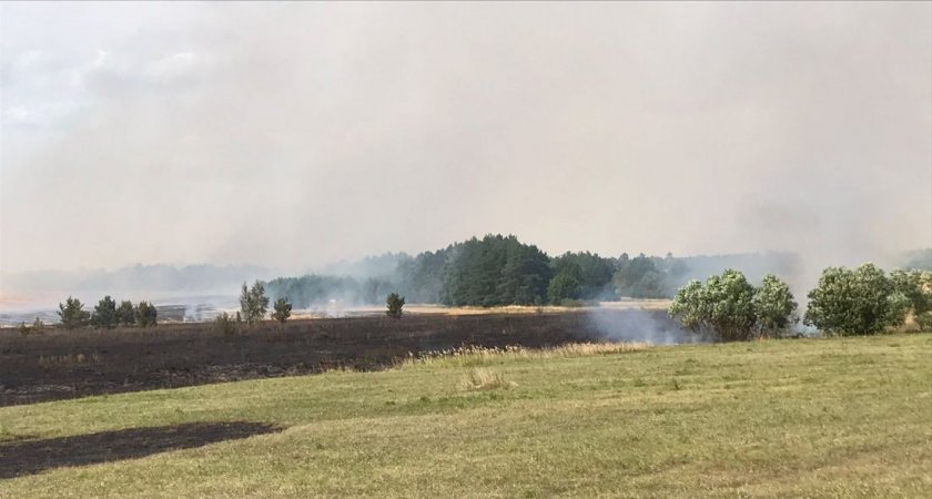 В Пензенском районе пожарные потушили траву на площади 30 га 