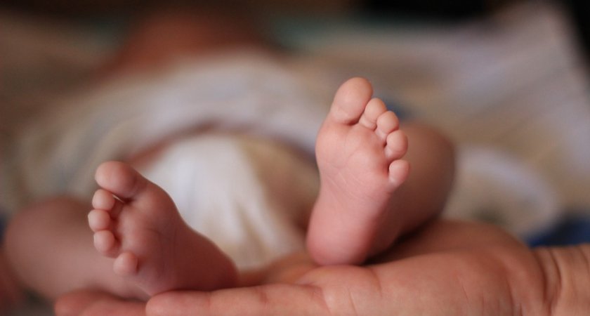С января 2022 года в Сердобском районе выросла рождаемость